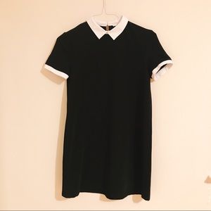 White Collar Black Dress